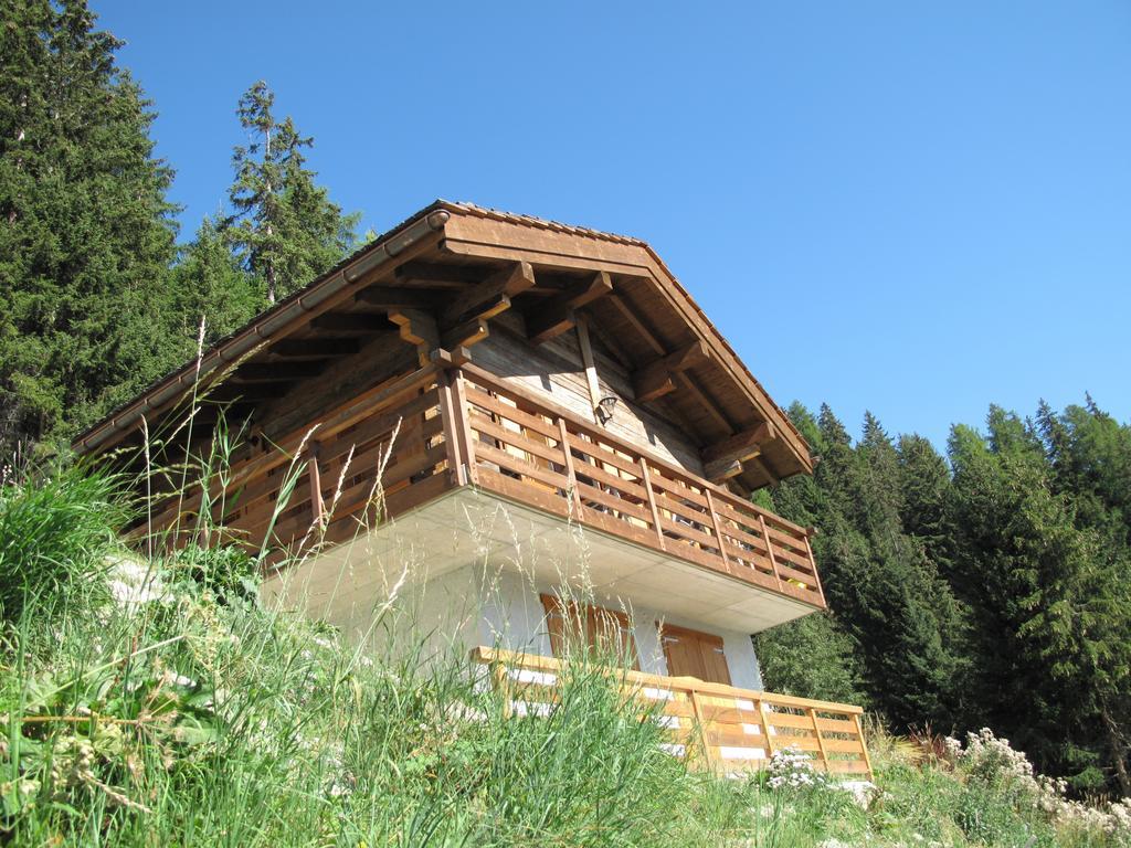 그리멘츠 Chalet Amos 빌라 외부 사진